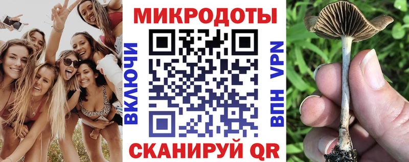 Псилоцибиновые грибы Psilocybe  даркнет сайт  Тогучин 