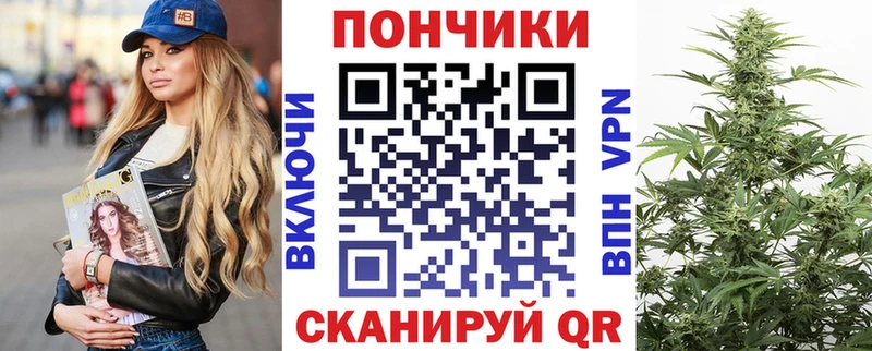 Бошки Шишки ГИДРОПОН  Тогучин 